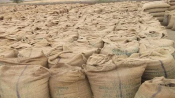 सरकारी धान की कुटाई में बड़ी सेंधमारी, पीसीयू को लगा करीब एक करोड़ का चूना, मिल संचालक रडार पर